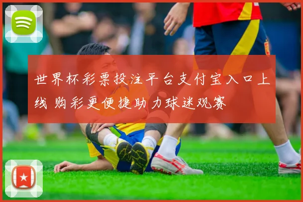 世界杯彩票投注平台支付宝入口上线 购彩更便捷助力球迷观赛