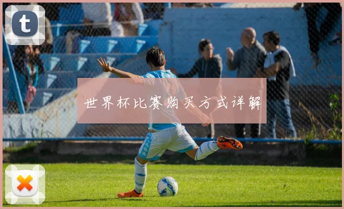 世界杯比赛购买方式详解