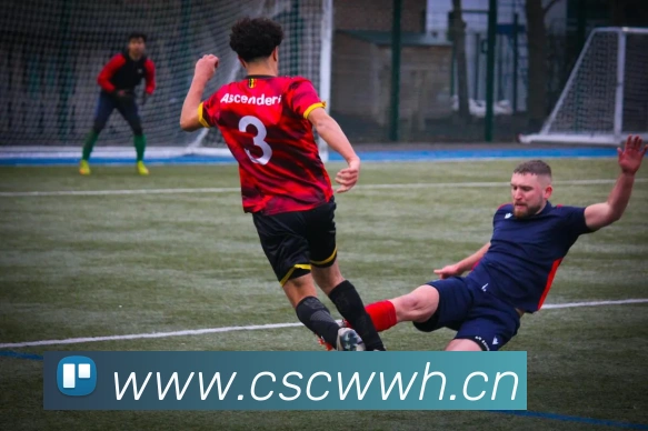 开云kaiyun网站平台生态图