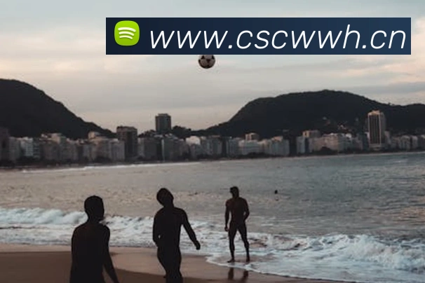 开云kaiyun网站全站App